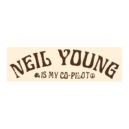 Co-Pilot Bumper Sticker